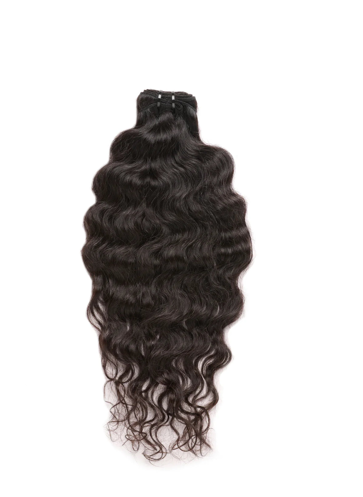 Vietnamese Curly
